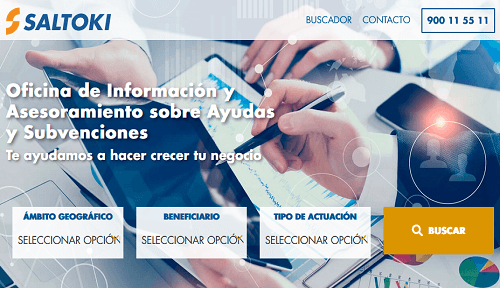 Buscador ayudas